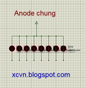 led anode chung